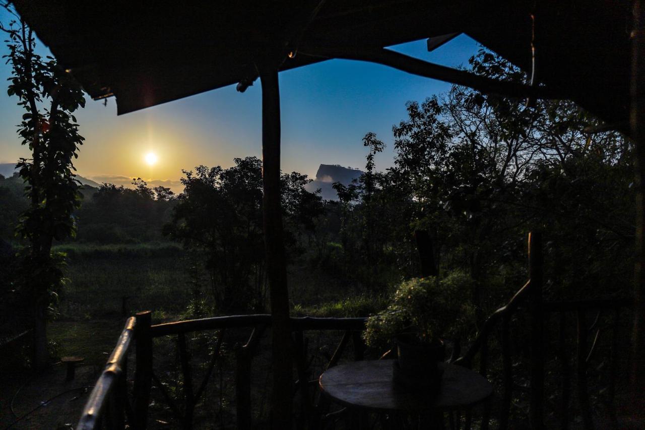 Sigiriya Rock Gate Tree House Hotel ภายนอก รูปภาพ