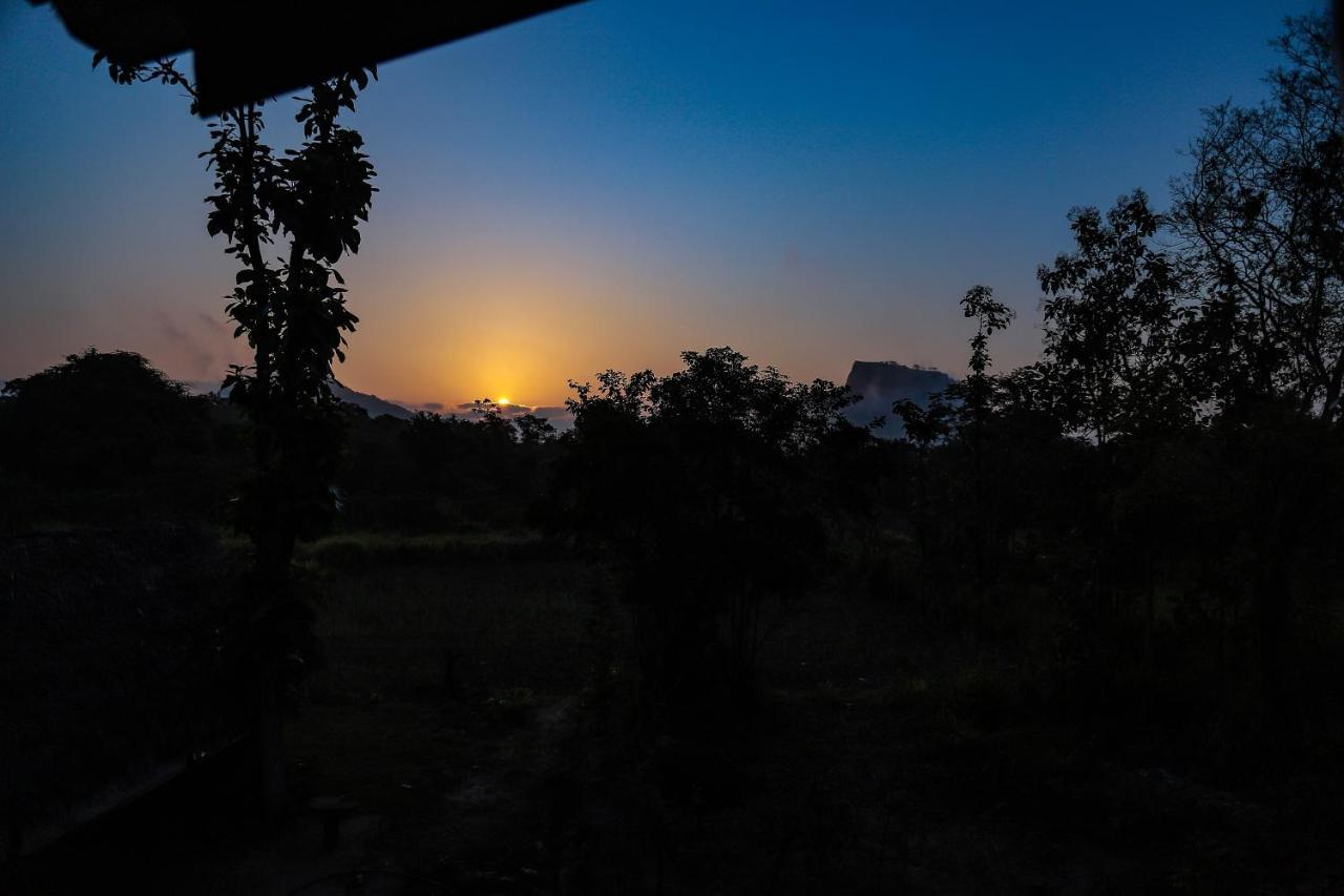 Sigiriya Rock Gate Tree House Hotel ภายนอก รูปภาพ