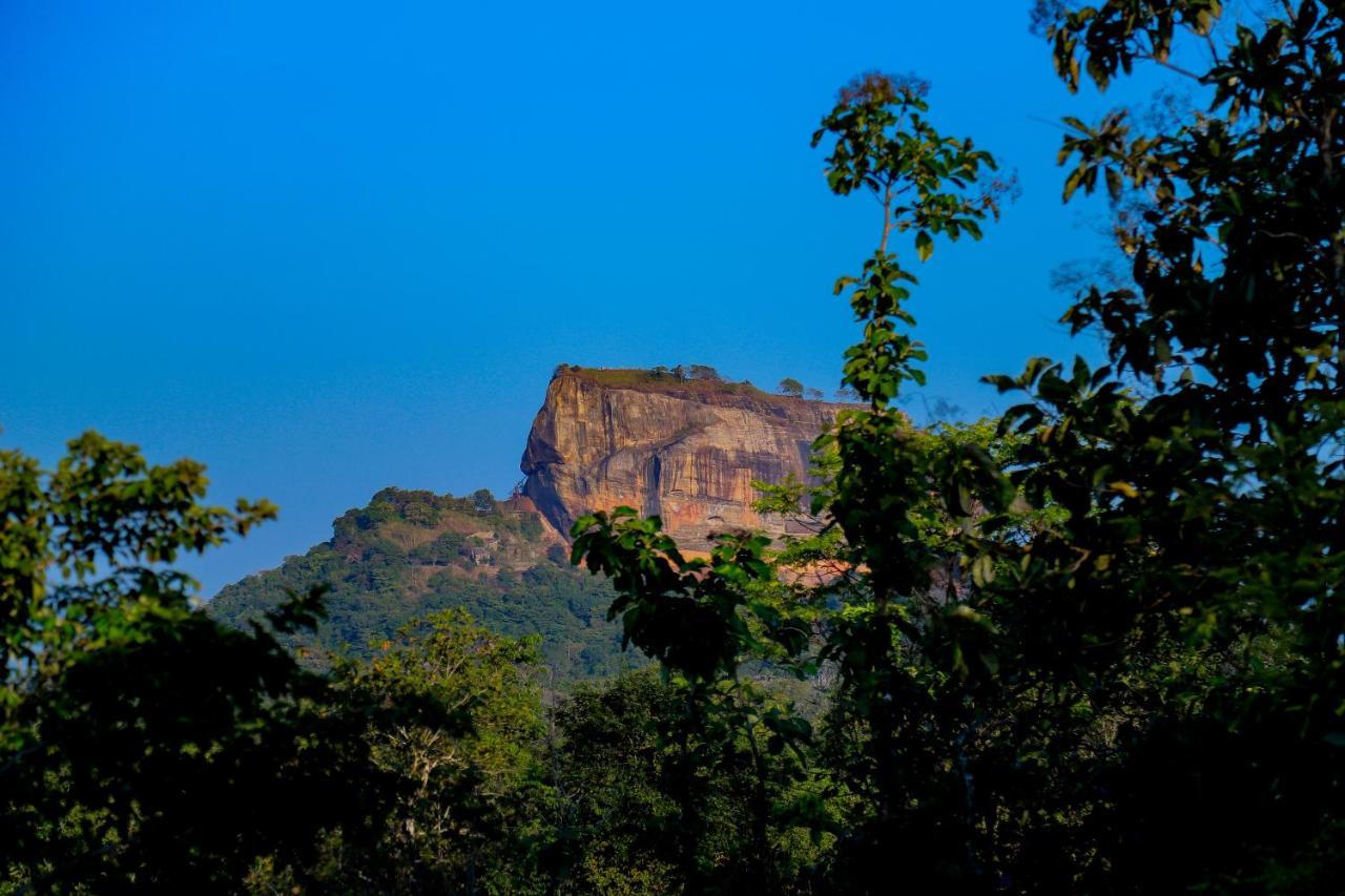 Sigiriya Rock Gate Tree House Hotel ภายนอก รูปภาพ