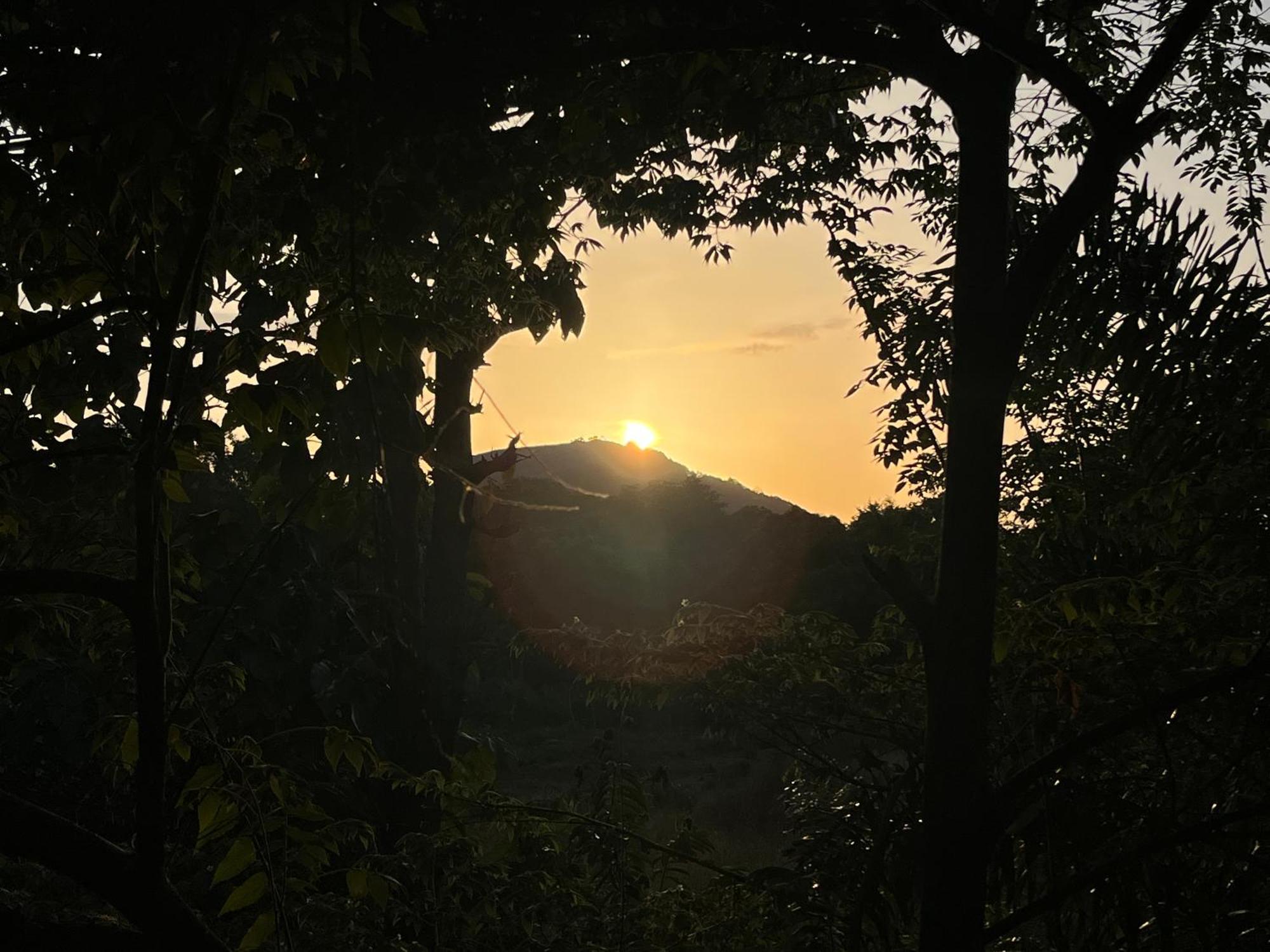 Sigiriya Rock Gate Tree House Hotel ภายนอก รูปภาพ