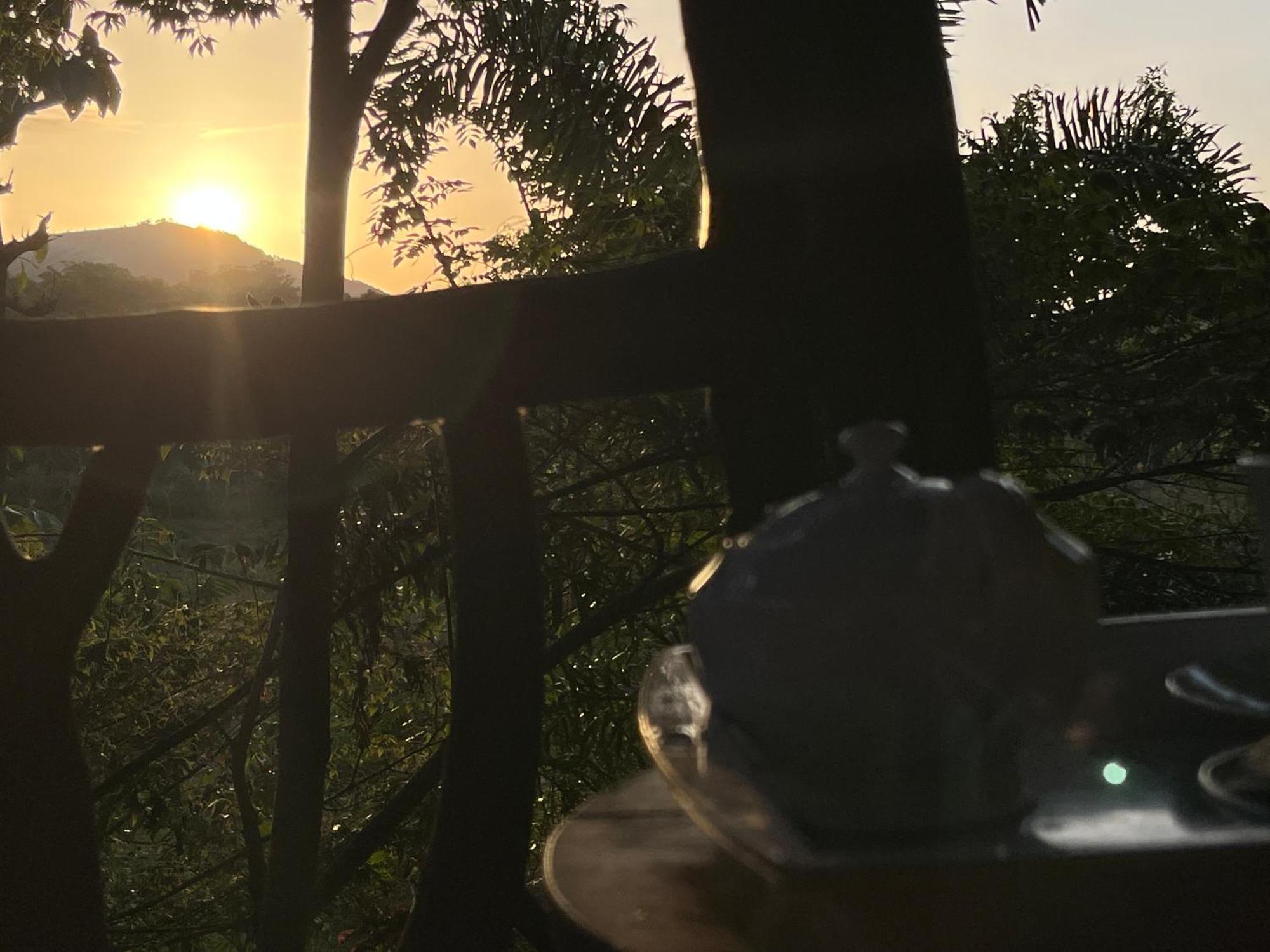 Sigiriya Rock Gate Tree House Hotel ภายนอก รูปภาพ