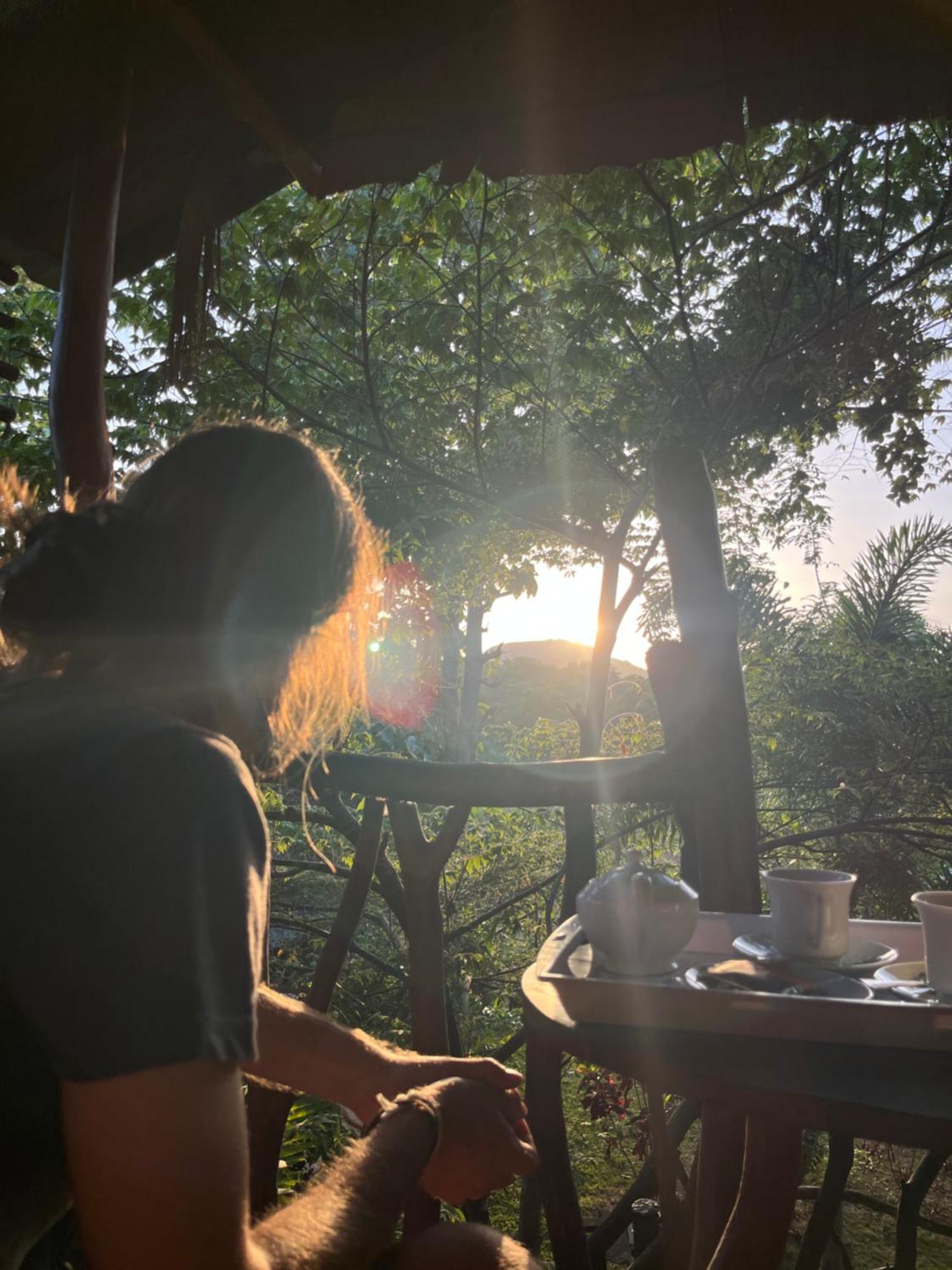 Sigiriya Rock Gate Tree House Hotel ห้อง รูปภาพ