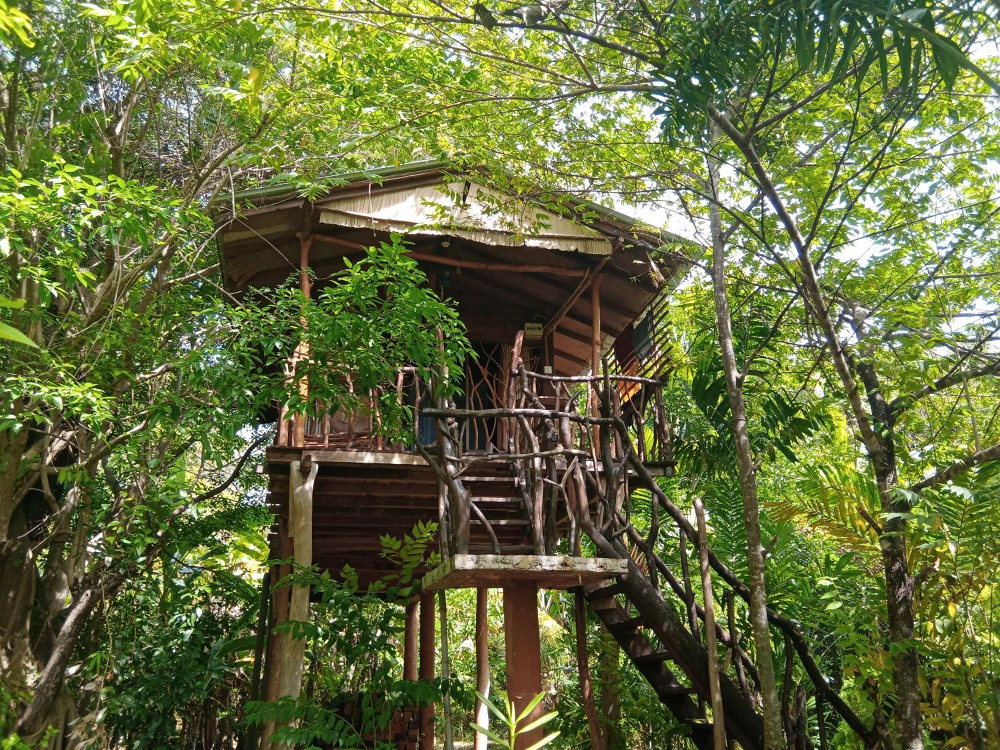 Sigiriya Rock Gate Tree House Hotel ห้อง รูปภาพ